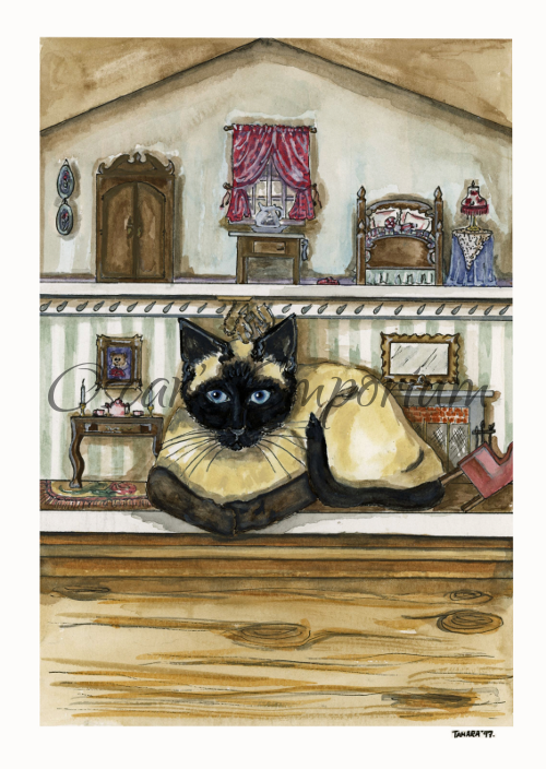 Cat Art- Siamese parked on the ground floor of a dollhouse